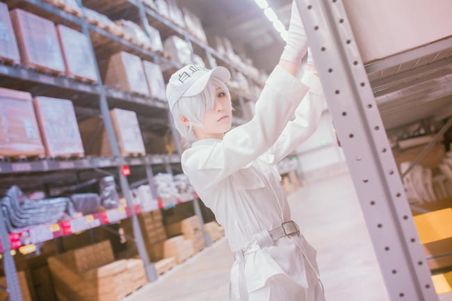 工作细胞 红血球 白血球 血小板 cosplay