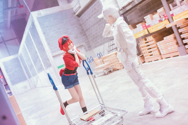 工作细胞 红血球 白血球 血小板 cosplay