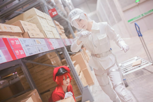 工作细胞 红血球 白血球 血小板 cosplay