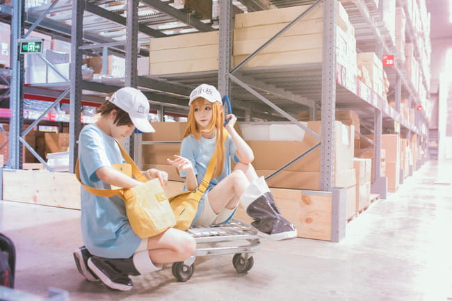 工作细胞 红血球 白血球 血小板 cosplay