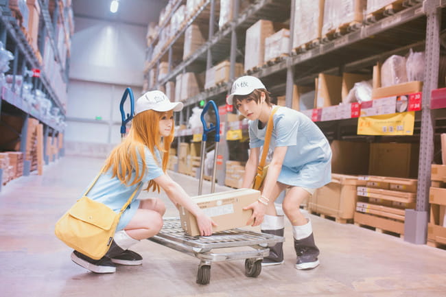 工作细胞 红血球 白血球 血小板 cosplay