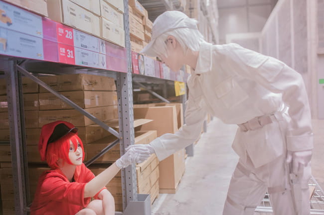 工作细胞 红血球 白血球 血小板 cosplay