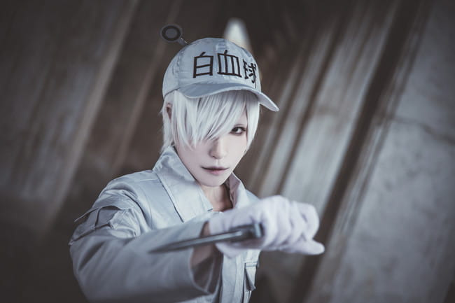 【cos正片】工作细胞 白血球