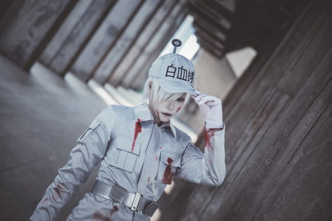 【cos正片】工作细胞 白血球