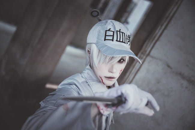 【cos正片】工作细胞 白血球