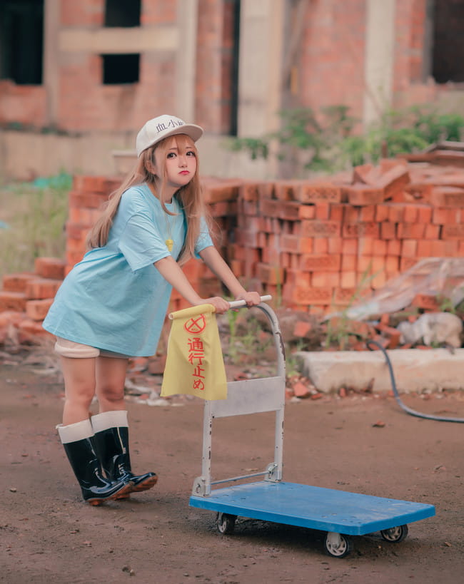 工作细胞 血小板 白细胞 cosplay