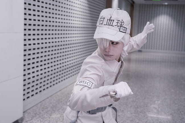 工作细胞 血小板 白细胞 cosplay