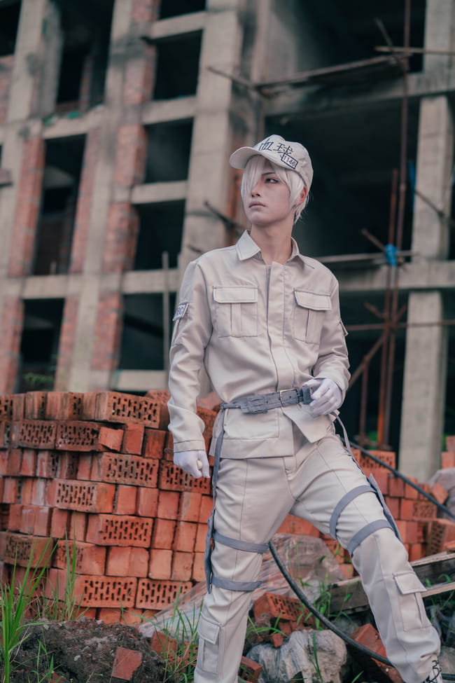 工作细胞 血小板 白细胞 cosplay