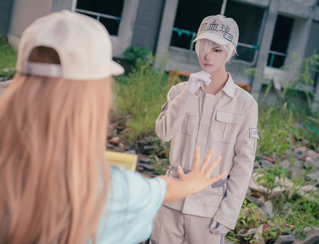 工作细胞 血小板 白细胞 cosplay