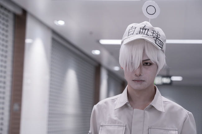 工作细胞 血小板 白细胞 cosplay