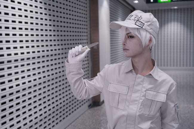 工作细胞 血小板 白细胞 cosplay