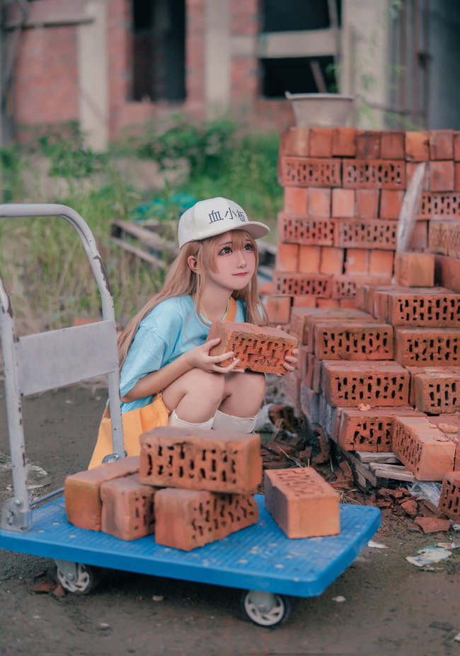 工作细胞 血小板 白细胞 cosplay