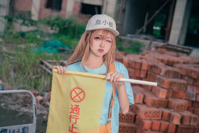 工作细胞 血小板 白细胞 cosplay