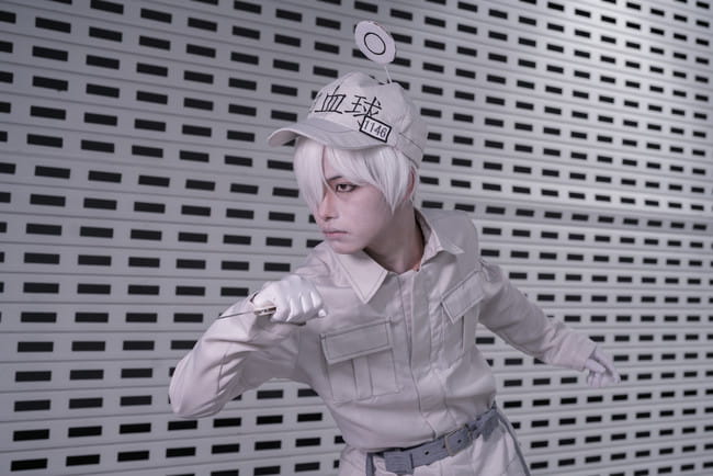 工作细胞 血小板 白细胞 cosplay