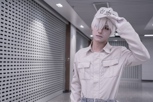 工作细胞 血小板 白细胞 cosplay