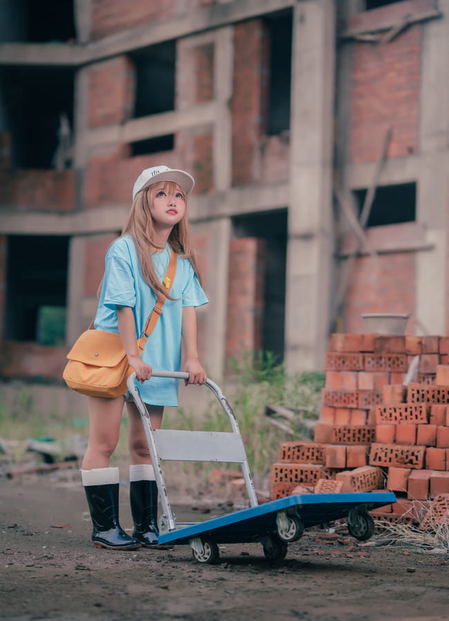 工作细胞 血小板 白细胞 cosplay