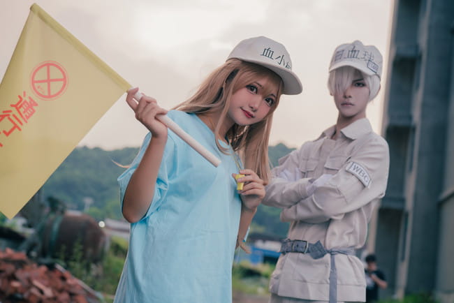 工作细胞 血小板 白细胞 cosplay