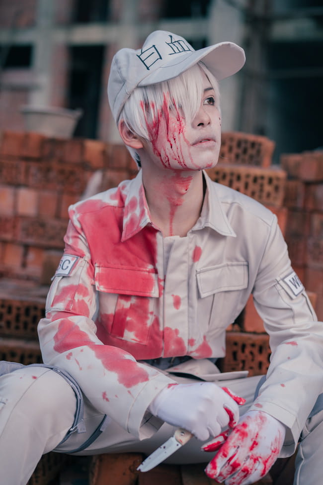 工作细胞 血小板 白细胞 cosplay
