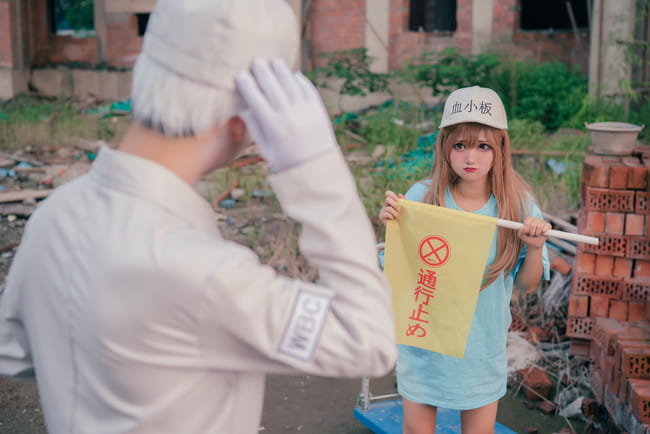 工作细胞 血小板 白细胞 cosplay