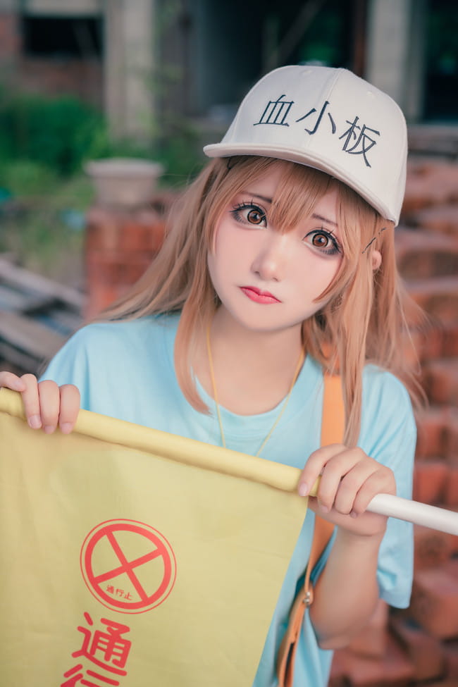 工作细胞 血小板 白细胞 cosplay