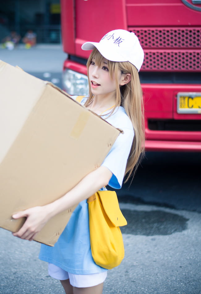 【cos正片】认真工作 血小板