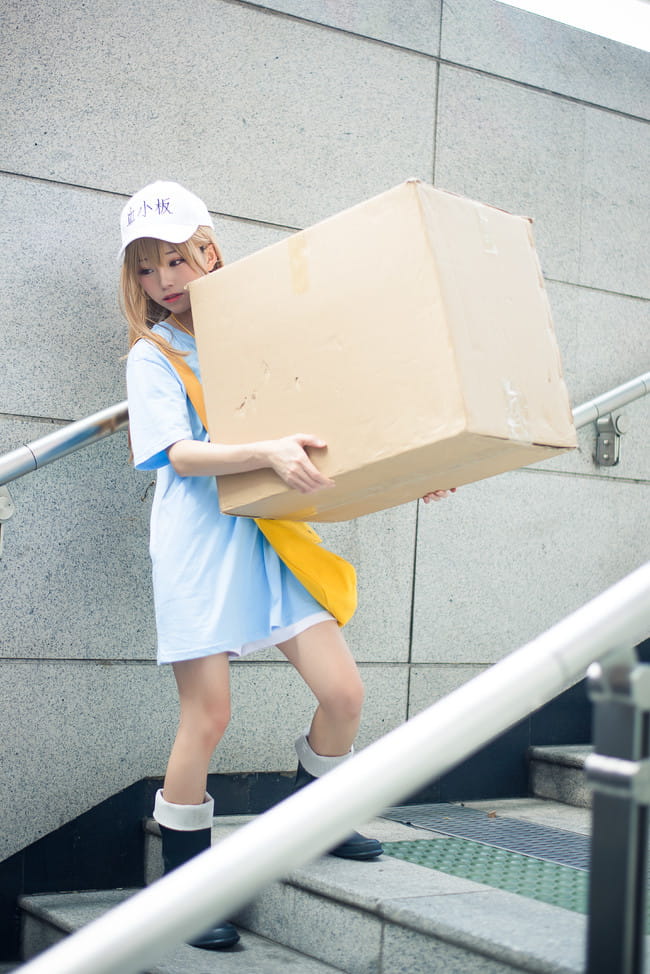 【cos正片】认真工作 血小板