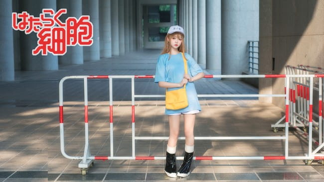 【cos正片】工作细胞——血小板cos