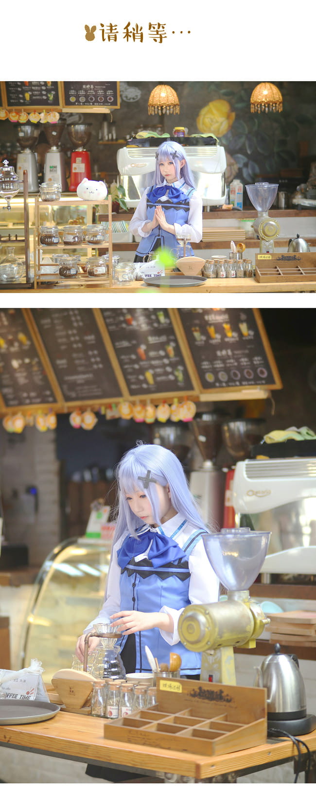 【cos正片】请问您今天要来点兔子吗？ 香风智乃