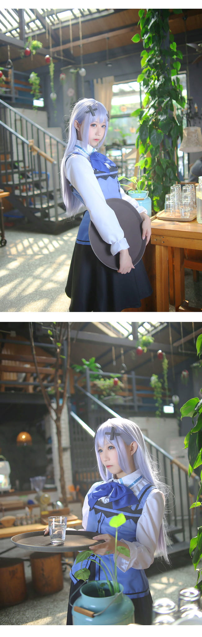 【cos正片】请问您今天要来点兔子吗？ 香风智乃