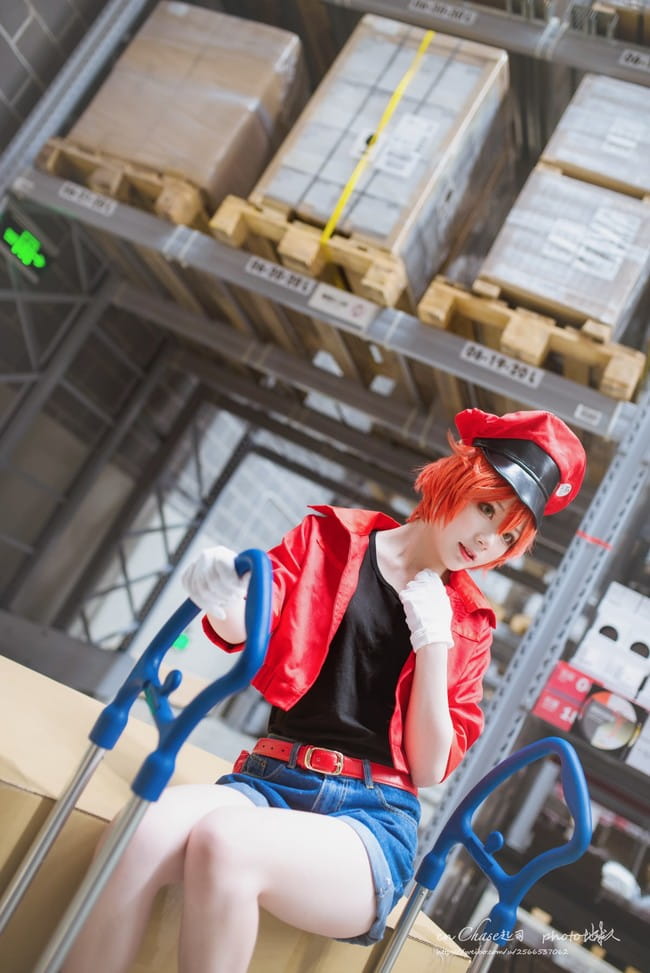 【cos正片】工作细胞 红血球