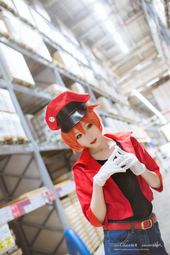 【cos正片】工作细胞 红血球