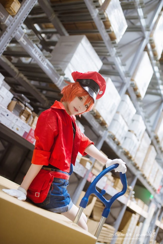 【cos正片】工作细胞 红血球