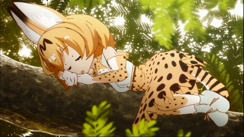 《兽娘动物园》薮猫手机主题