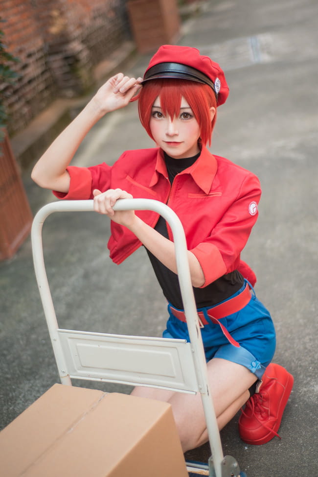 工作细胞 红细胞 红血球 cosplay