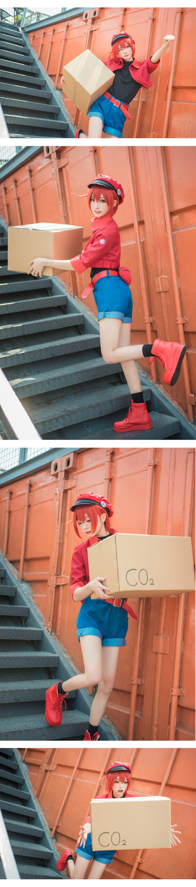 工作细胞 红细胞 红血球 cosplay