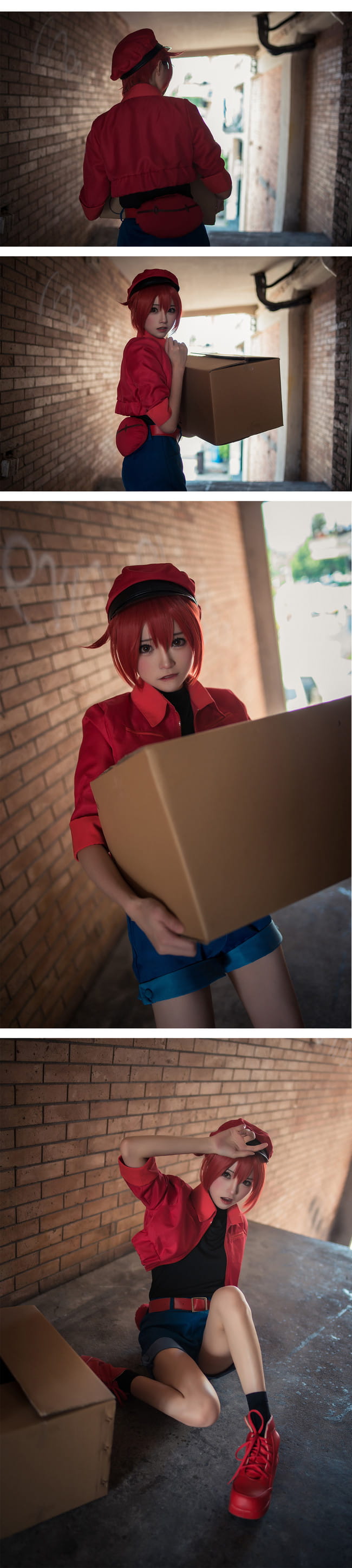 工作细胞 红细胞 红血球 cosplay