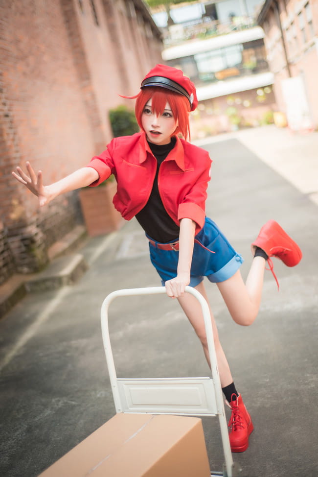 工作细胞 红细胞 红血球 cosplay
