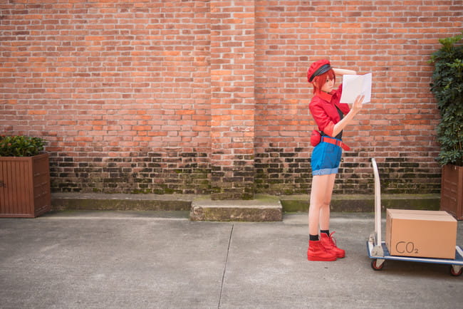 工作细胞 红细胞 红血球 cosplay