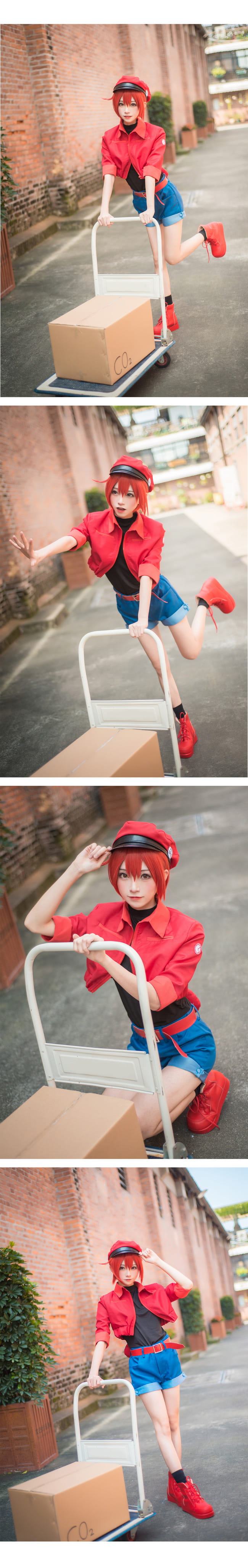 工作细胞 红细胞 红血球 cosplay