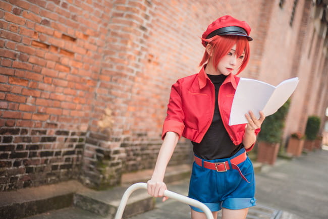工作细胞 红细胞 红血球 cosplay