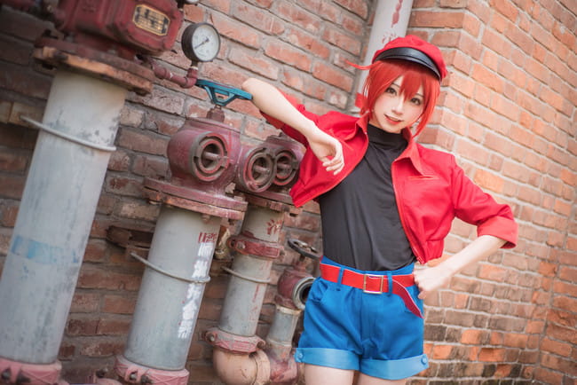 工作细胞 红细胞 红血球 cosplay