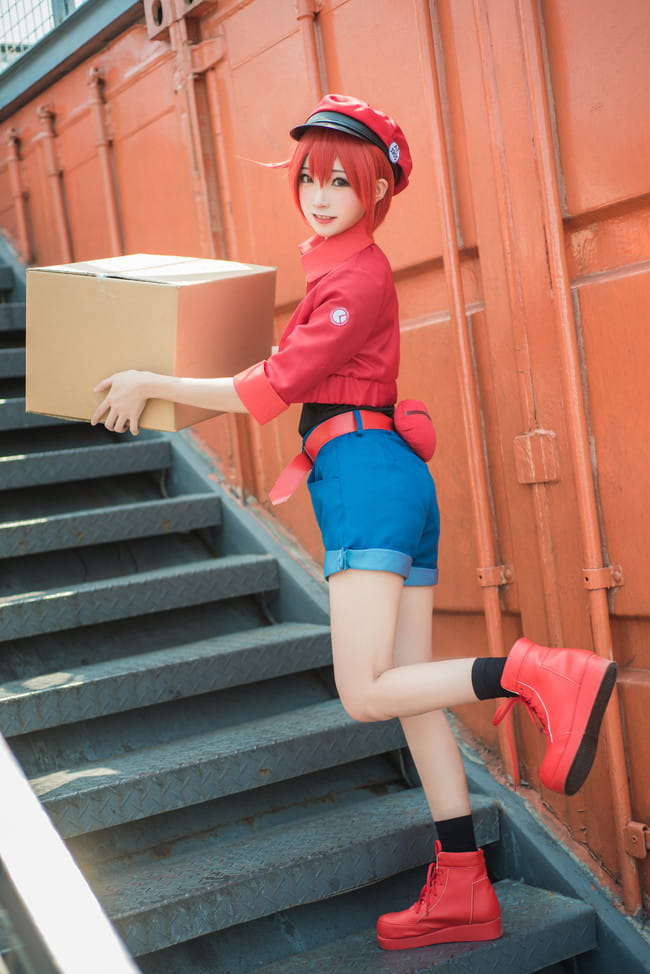 工作细胞 红细胞 红血球 cosplay