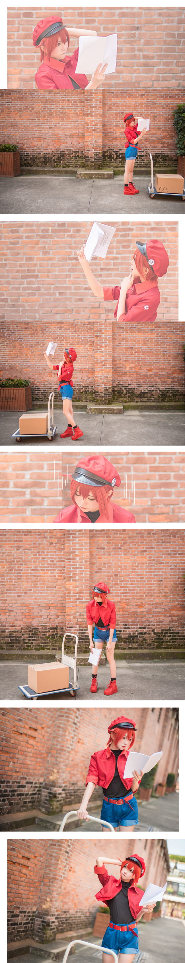 工作细胞 红细胞 红血球 cosplay