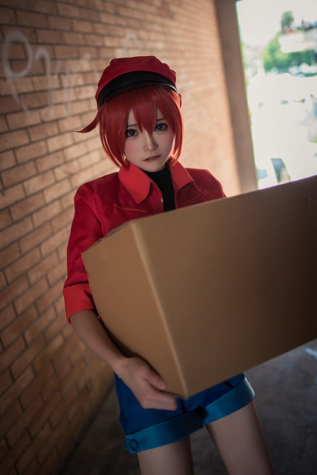 工作细胞 红细胞 红血球 cosplay