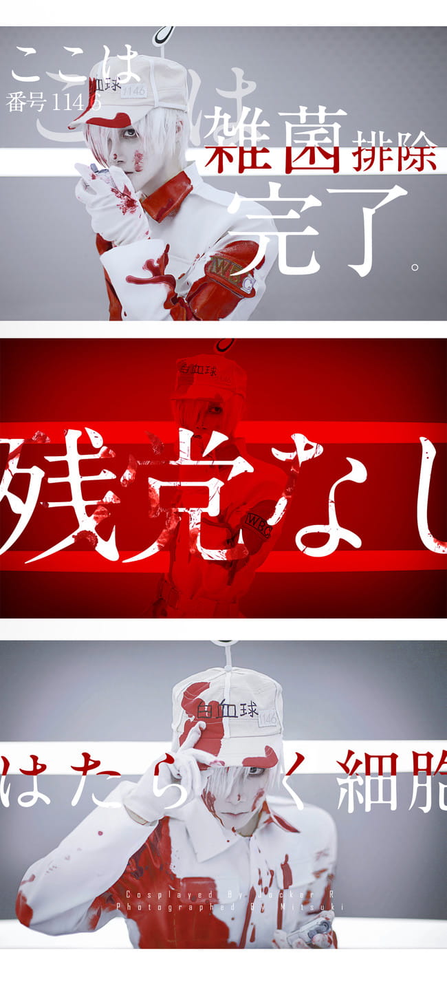 工作细胞 白血球 cosplay