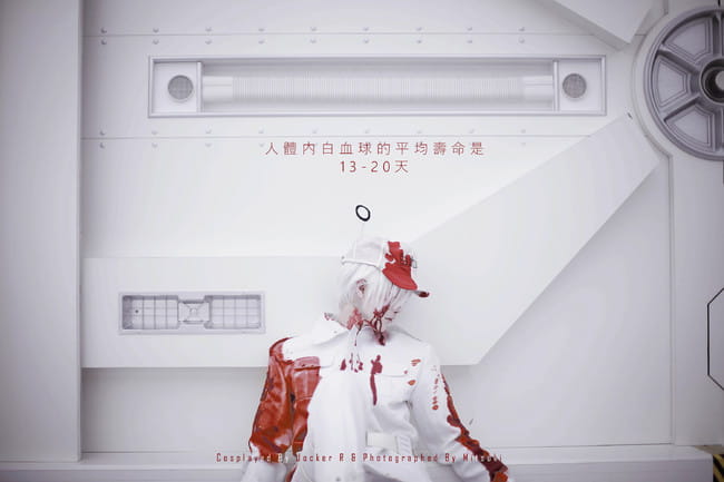 工作细胞 白血球 cosplay