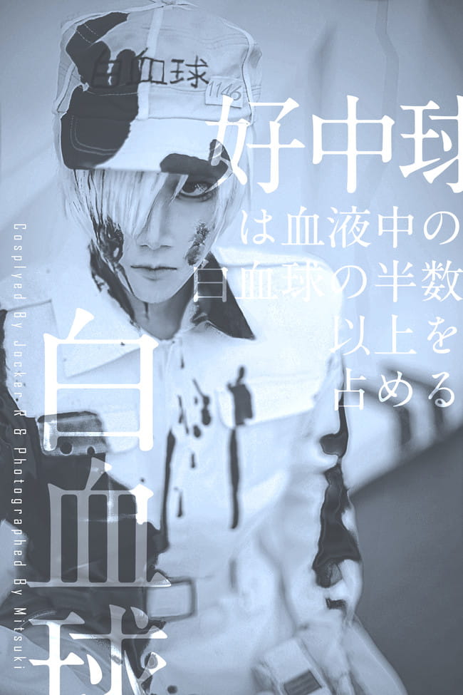 工作细胞 白血球 cosplay