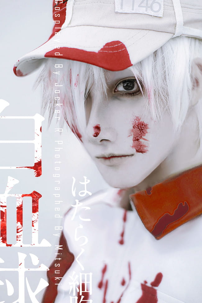 工作细胞 白血球 cosplay
