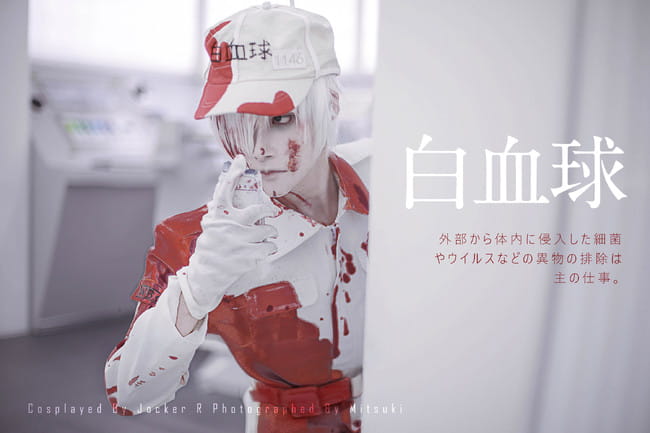 工作细胞 白血球 cosplay