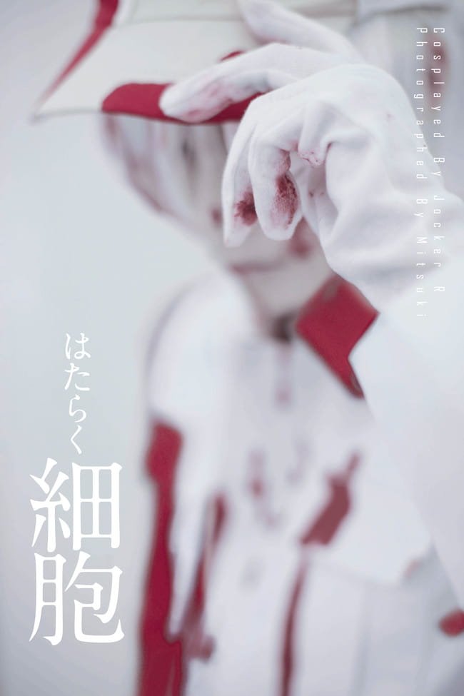 工作细胞 白血球 cosplay